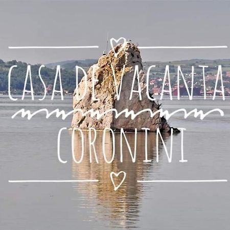 Casa De Vacanta Danube Moldova Noua Exteriér fotografie